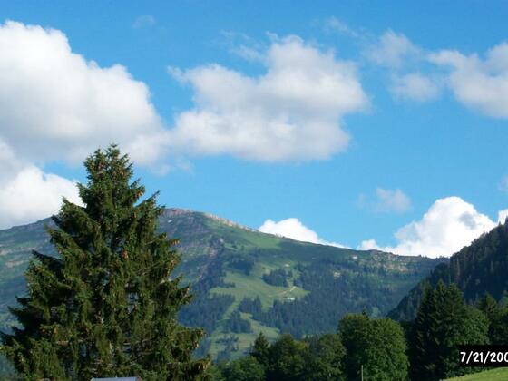 Blick von der Wohnung zum Hochgrat im Sommer