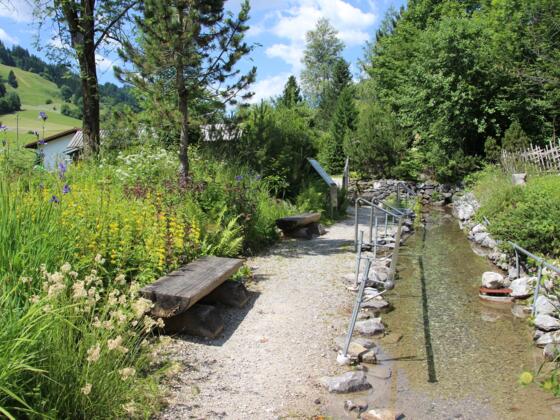 Kneippbecken im Alpengarten