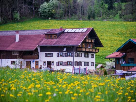 Unser Ferienhof - in herrlicher Alleinlage