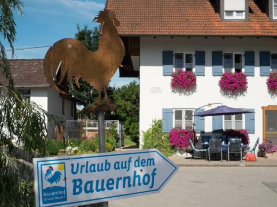 Herzlich Willkommen auf unserem Biobauernhof
