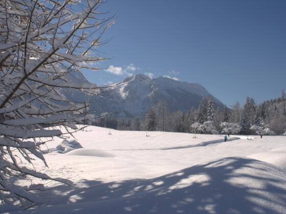 inzell winter panorama langlaufen