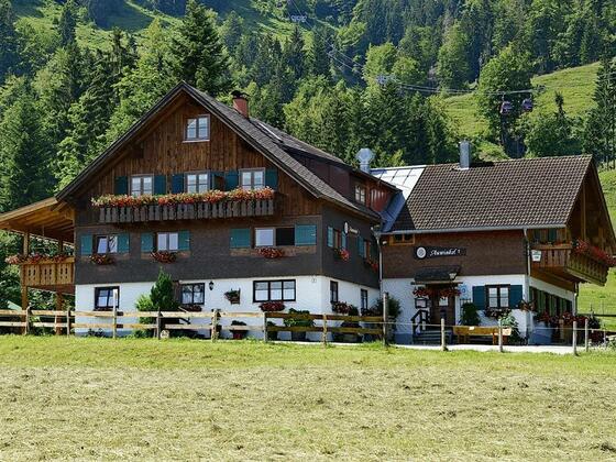 Auwinkel Ansicht Sommer