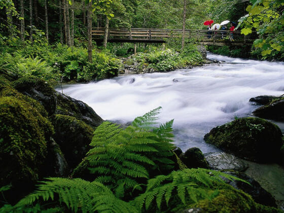 Auf dem Bachlehrweg ins Hollersbachtal