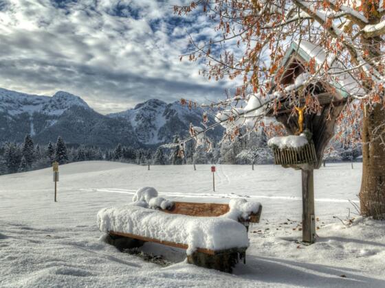 inzell winter landschaft bankerl_jh