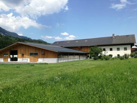 Hoisenhof Kramsach im Sommer