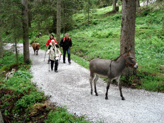 Auf dem Weg zur Leitenkammerklamm