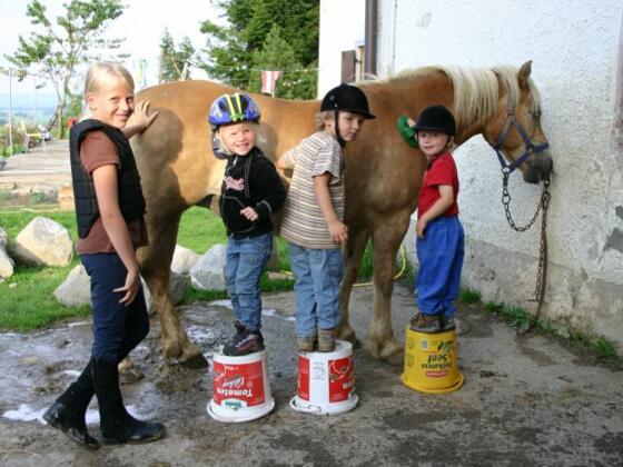 jetzt wird gestriegelt