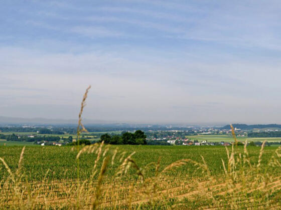 Panoramablick Perg Weinzierl