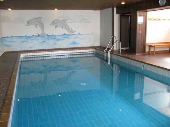Schwimmbad im Haus