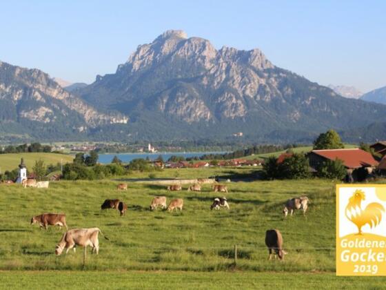 Stögerhof Goldener Gockel 2019