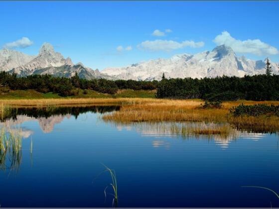 Schwarze Lacke am Gerzkopf