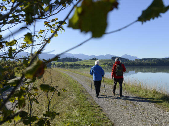 Entlang des Lechs auf dem LechErlebnisWeg bei Steingaden