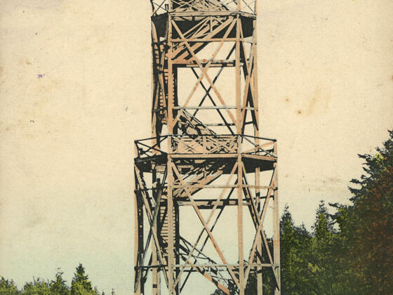 Die historische Dambergwarte von 1922