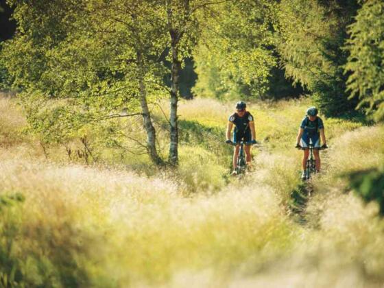 Radfahrer im Frankenwald