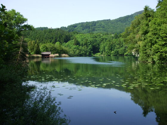 Idylle am Höglwörther See.