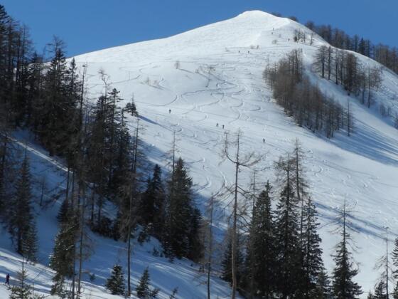 Gut zu sehen ist die Aufstiegsroute aufgrund der vielen Schitourengeher.