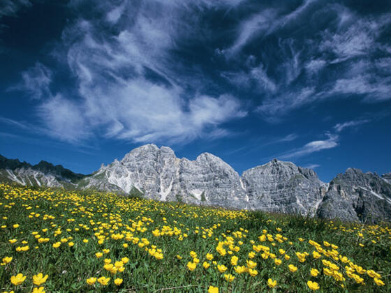 Schlicker Kalkkögel