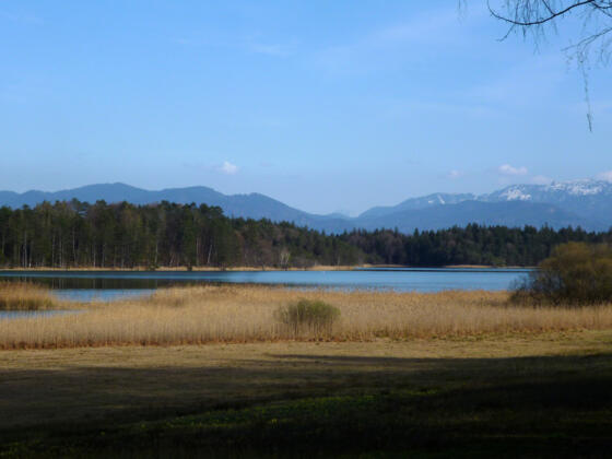 Wunderschöner Blick über den Breitenauer See auf die Alpenkette.