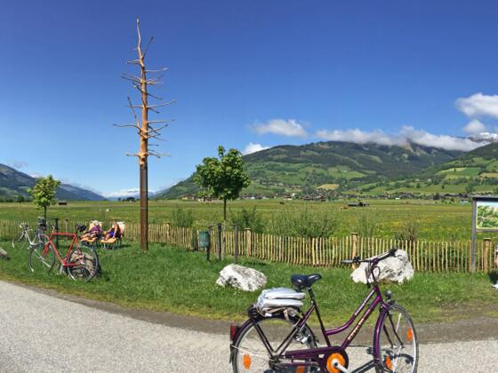 Rastplatz am Tauernrad mit Schlangenbaum und Tauernliegen