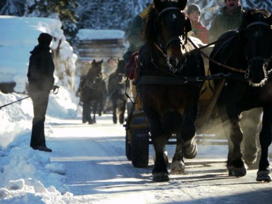 Kutschfahrt im Winter
