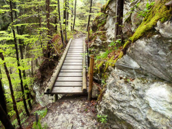 Auf dem schmalen Pfad durch die Ammerschlucht müssen zahlreiche schmale Stege überquert werden.