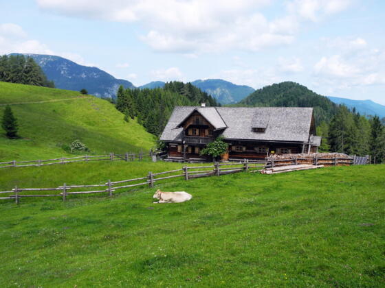 Blahbergalm im Reichraminger Hintergebirge © Nationalpark Kalkalpen_Stückler