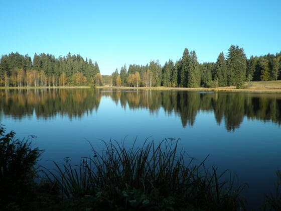Moorsee Unterer Rosenhofer Teich