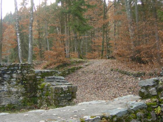 Burgruine Bachsfall
