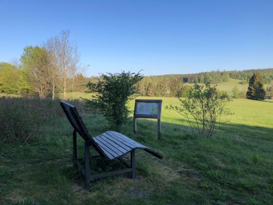 Liegebank bei Langenbach