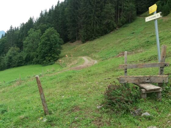 Hier links auf Lehrberg zu, wenn wir zur Kapelle hinunter wollen..