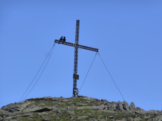 Gipfelkreuz am der Lampsenspitze