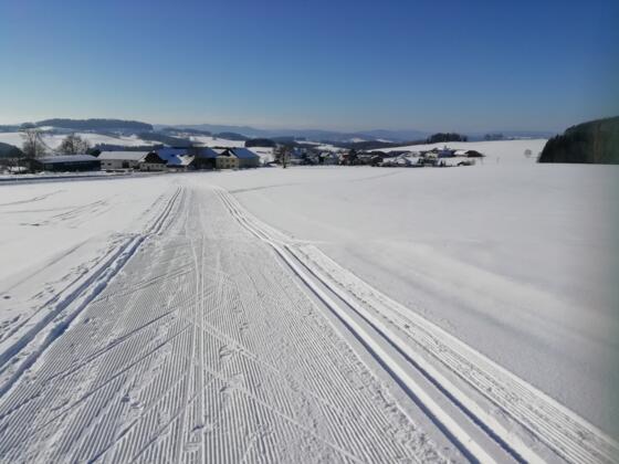 Langlaufen auf der Pirauloipe Nr. 15 in Deutsch Hörschlag