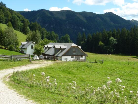 (c) Kraushofer, OÖ Tourismusverband