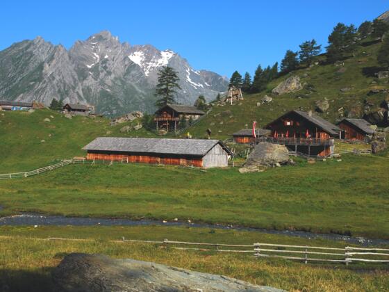 Steineralm, Blick Richtung Eichham