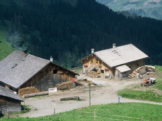Alpe Oberpartnom