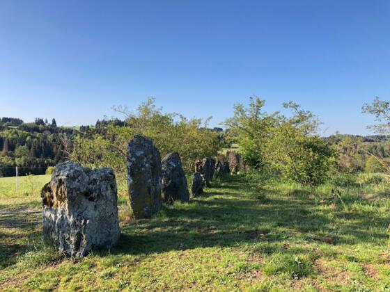 12 Apostel bei Steinbach