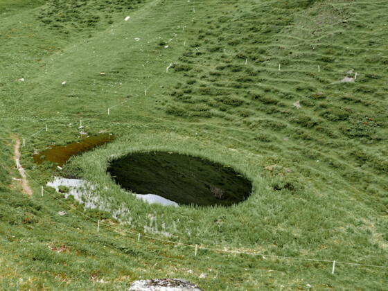 Das "Pfauenauge" oberhalb der Jagdhausalm