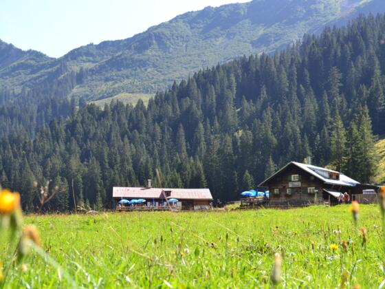 Alpe Melköde im Schwarzwassertal