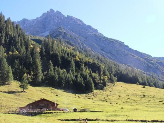 Naturalpe Gemstel-Schönesboden