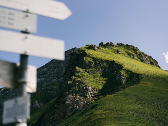 Amatschonjoch (c) Dominic Berchtold / Vorarlberg Tourismus