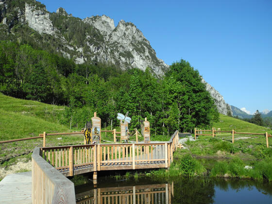 Feuchtbiotop oberhalb der Puglalm © Stückler