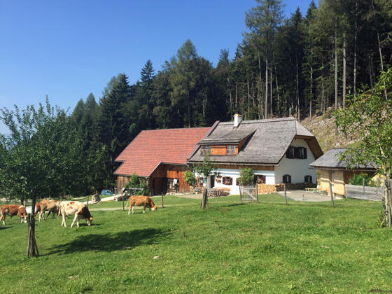 Bergerbauern Reith © Vögerl