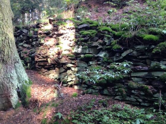 Schieferhalde bei Eisenbühl