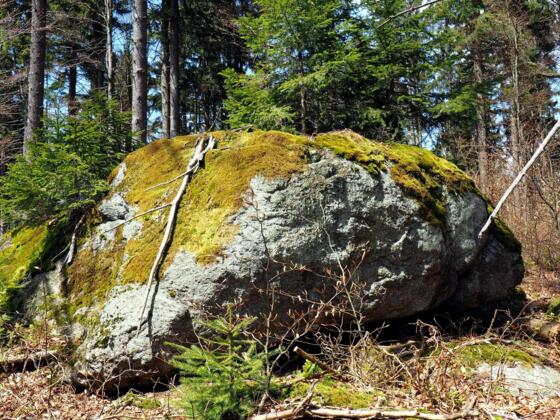 Fleischhackerberg 1040m, Felsformationen