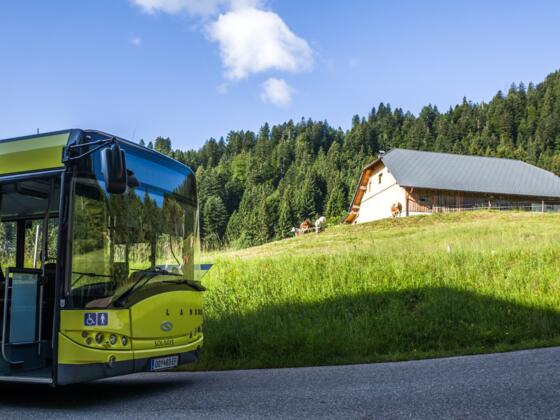 Bushaltestelle beim der Alpe Heumöser, Dornbirn-Ebnit