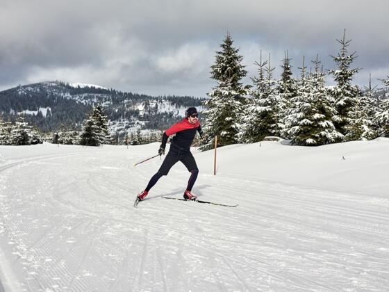 Die Auerhahnhöhenloipe ist ein Traum