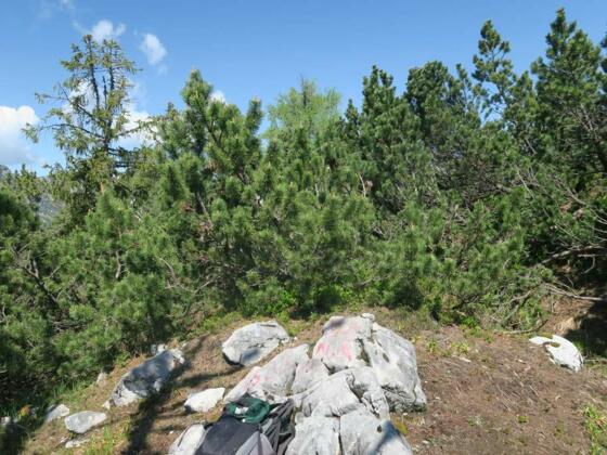 Gipfelfoto Elferkogel