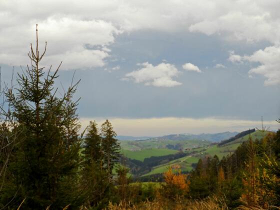 Ausblick auf die Basilika am Sonntagberg in der Ferne