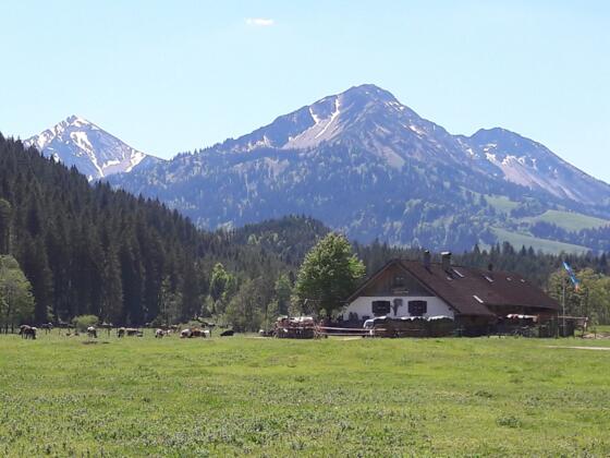 Alpe Kalbelehof 1