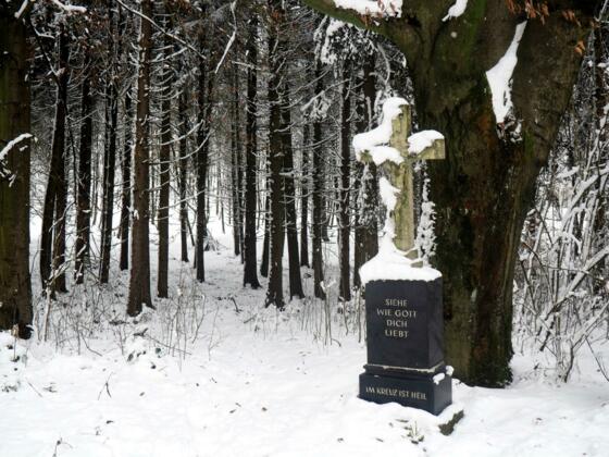 Wegkreuz Süd 477m Kürnberg